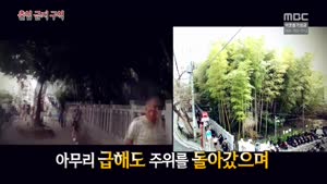 포스터