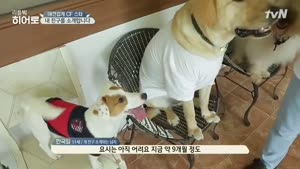 포스터
