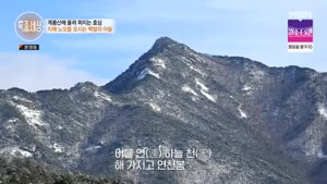 포스터