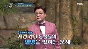 포스터