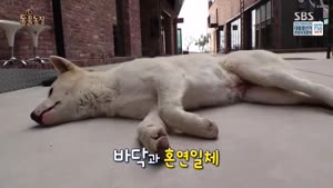 포스터