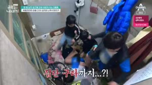 포스터