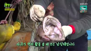 포스터
