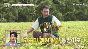 포스터
