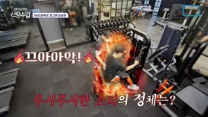 포스터