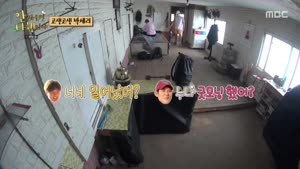 포스터