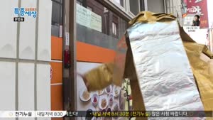 포스터