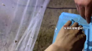 썸네일 이미지