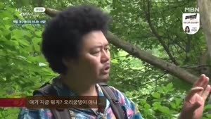포스터
