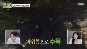 포스터