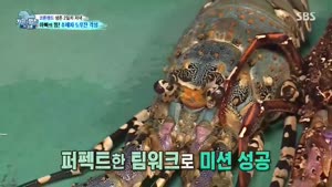 포스터